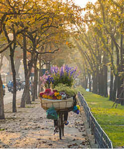 Hanoi city tour 1 Day - Deluxe - Tour with Water Puppet Show or Cycling - (Code: A7)