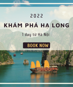 TOUR HÀ NỘI – HẠ LONG – HÀ NỘI 1 DAY (Code: A604)