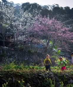 Ha Noi – Ha Giang - Road Trip 3 Days By Car (Code: A1006)