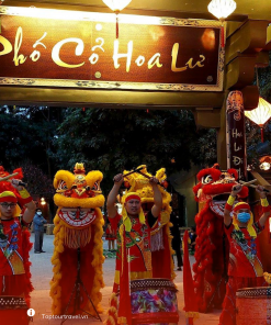 Ninh Binh 1 day tour: Hoa Lu - Trang An - Cycling (Code: NB106)