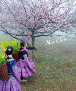 MAI CHAU ECOLODGE 2 DAYS 1 NIGHT TOUR