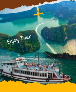ALOVA DAY CRUISES HALONG 1 DAY – GROUP TOUR (Code: A503)