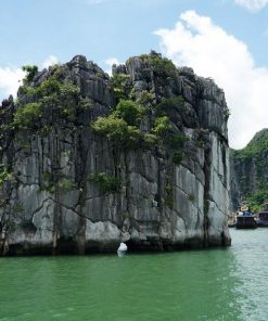 Cai Lan Port To Halong Bay Full-day Tour (Code: B109)