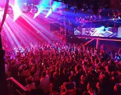 Hanoi Funny Monkey at Late (Code: B101)