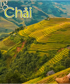 Tour du lịch Mù Cang Chải – Ngọc Chiến – SaPa 3N2Đ (Code: M100)