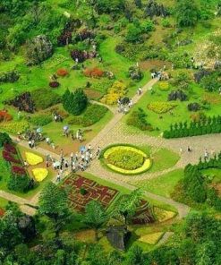 Tour Sapa 1 day (Code: M301)