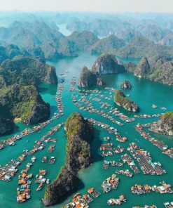 Tour Cat Ba 1 day - Explore The Beauty Of Cat Ba Island - Lan Ha Bay (Code: M201)