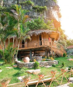 Ninh Binh 1 day tour: Tam Coc – Hoa Lu – Hang Mua (Code: NB105)